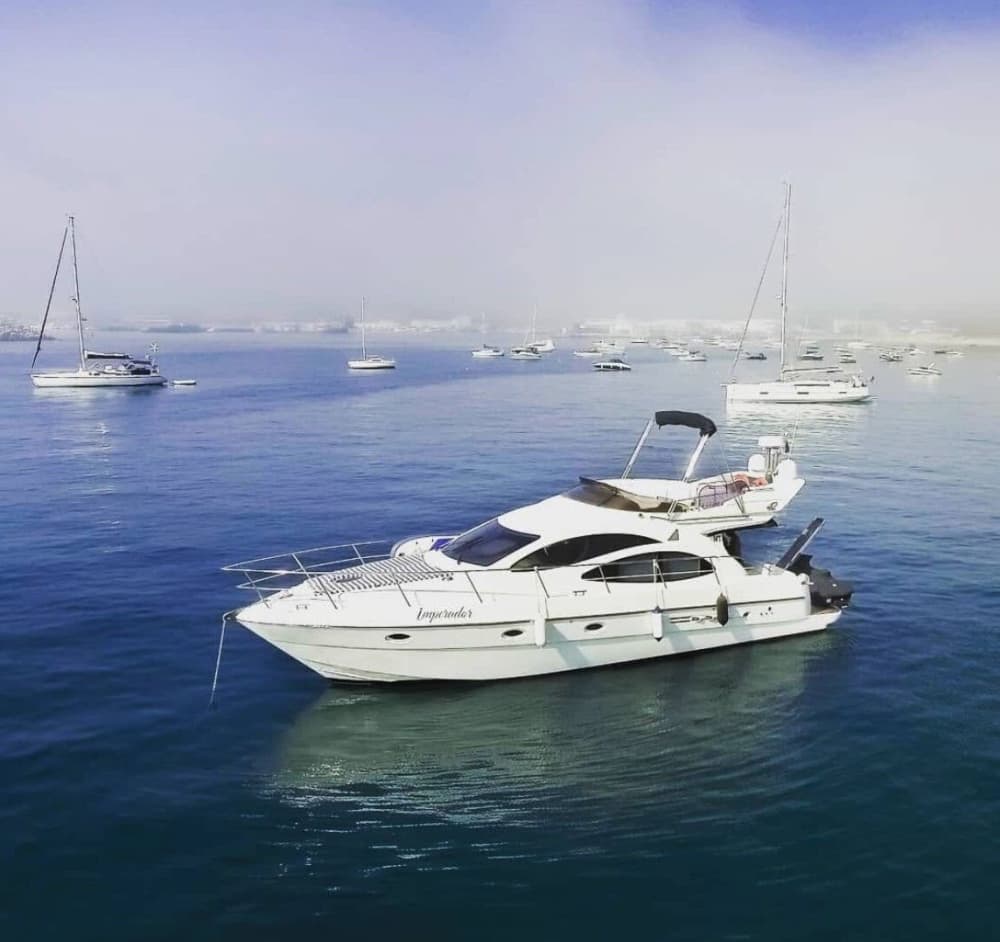 Expedição Horizonte Azul: Cruzeiro Costeiro de 4 Horas a Partir de Sesimbra