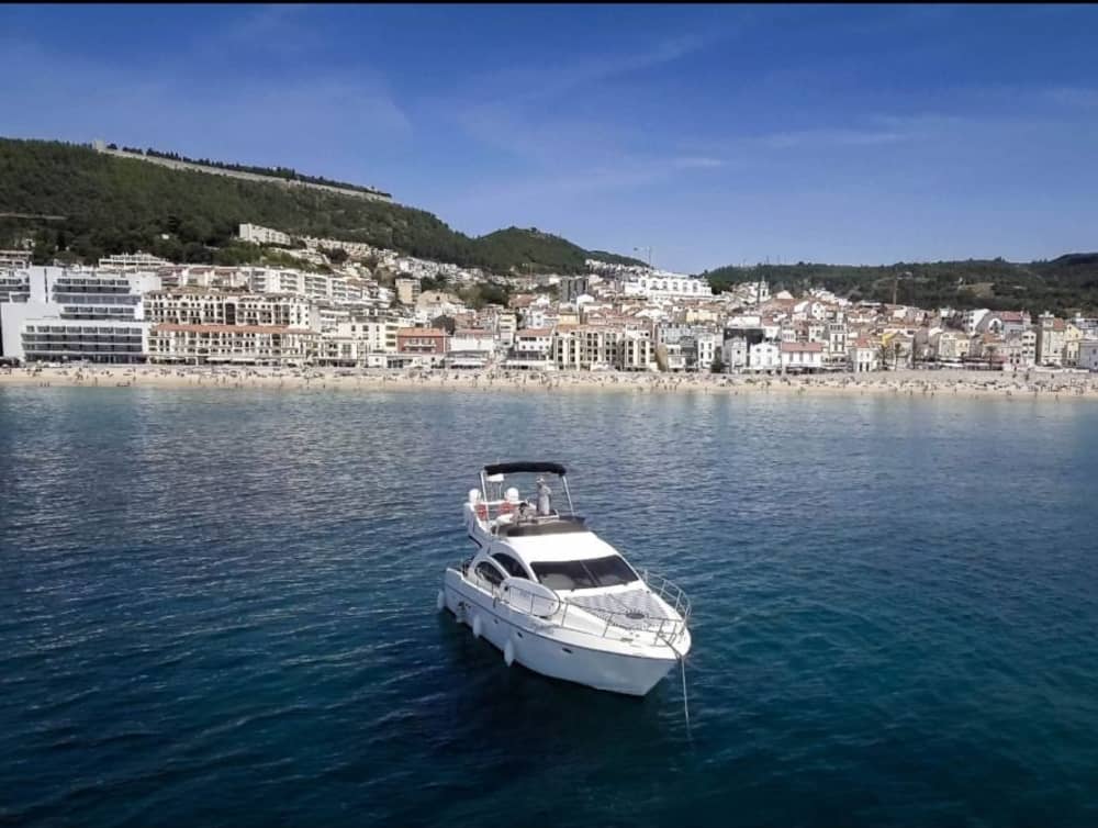 Expedição Horizonte Azul: Cruzeiro Costeiro de 4 Horas a Partir de Sesimbra