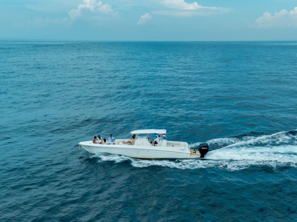 Vue imprenable sur le coucher de soleil et célébration au champagne