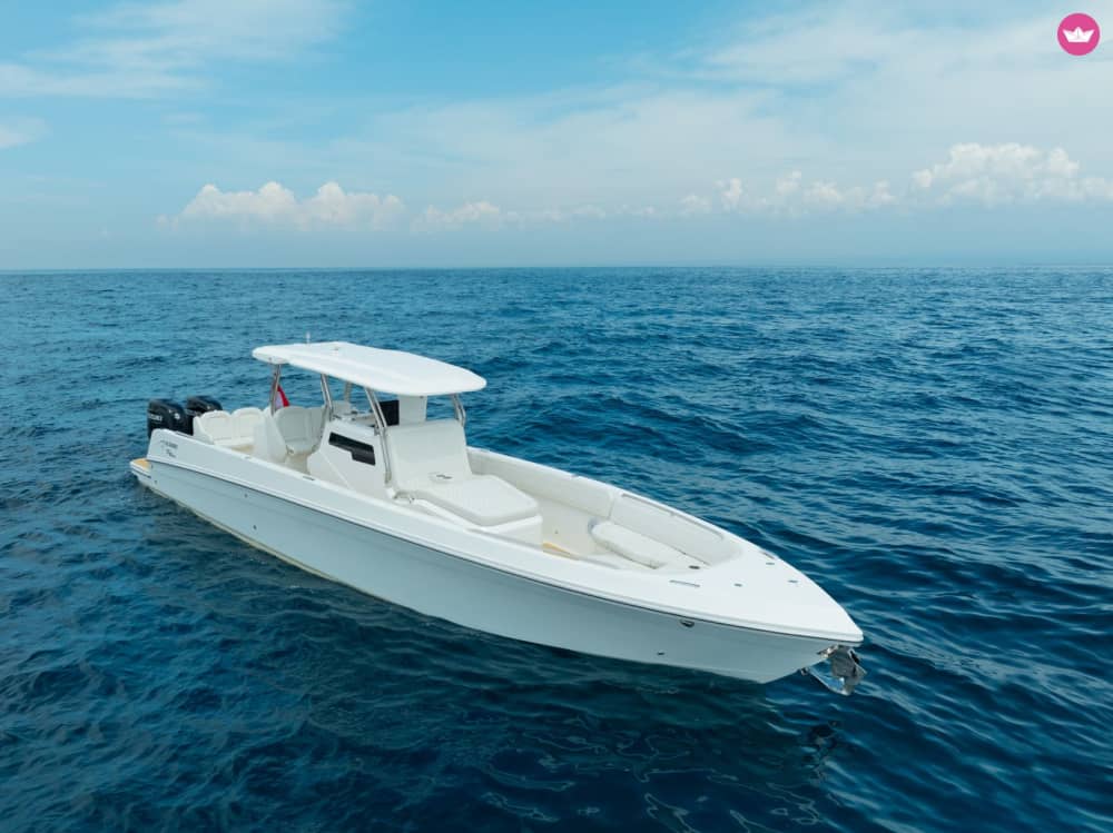 Vue imprenable sur le coucher de soleil et célébration au champagne