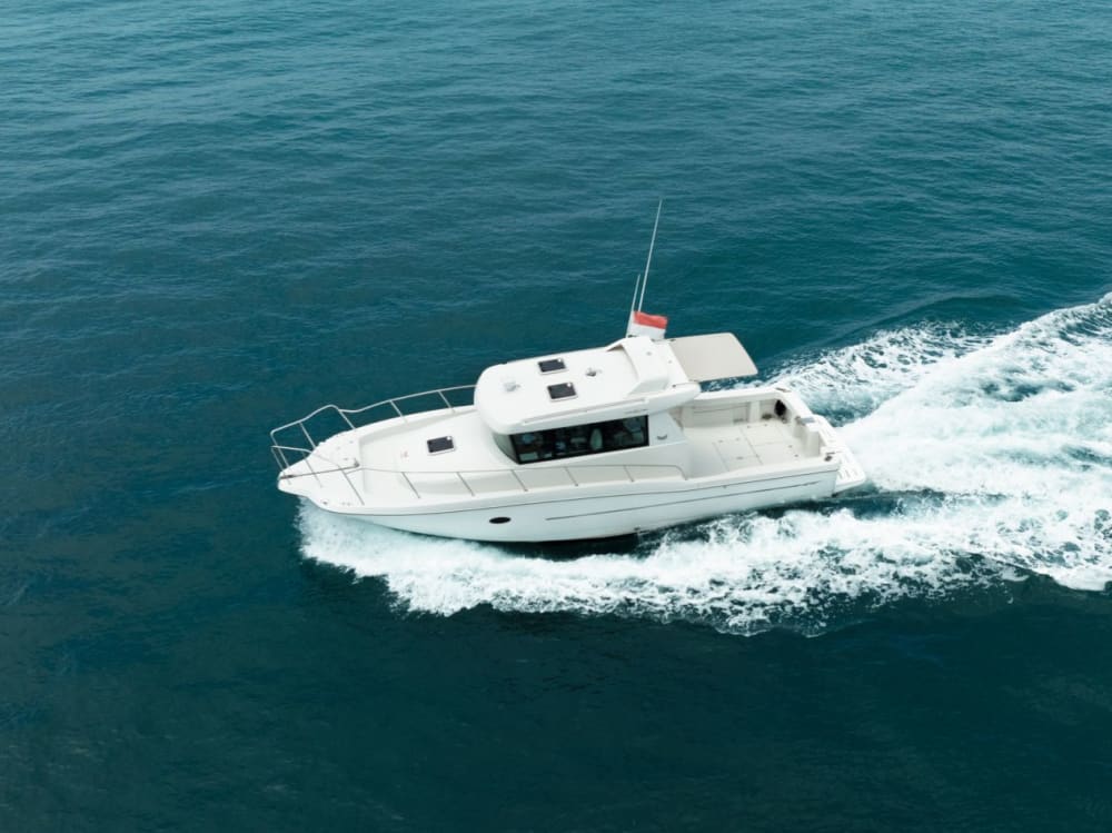 Navigation en soirée : Vues exclusives sur le coucher de soleil et dégustation gastronomique