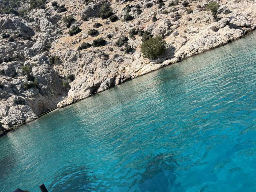 Вечеринка на борту