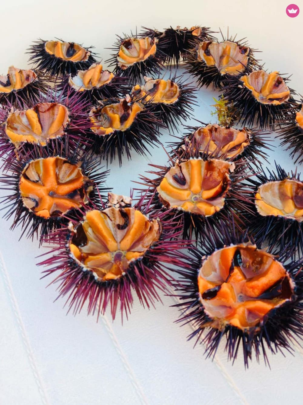 Crucero costero de día completo desde Città Vecchia a Punta Pizzo con desayuno, almuerzo y parada para nadar.