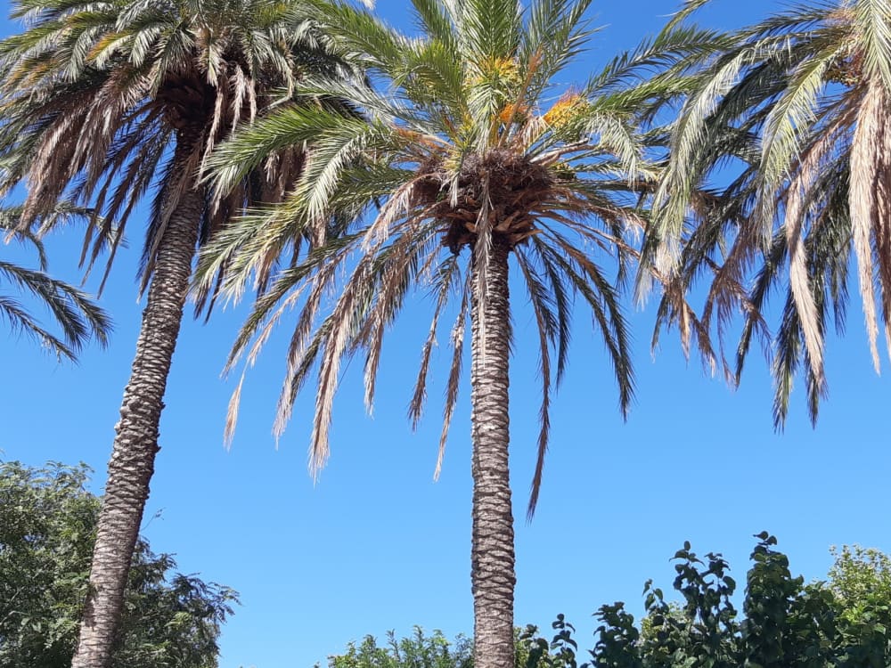 For a day trip or a coastal voyage. Welcome aboard!