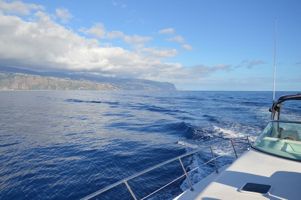 Sail Madeira in Style: Full-Day Escape