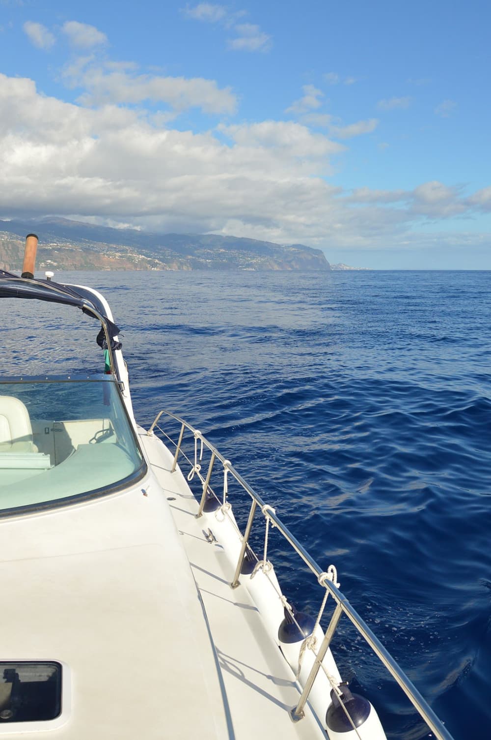 Madeira’s Ocean Treasures: 4h Private Tour