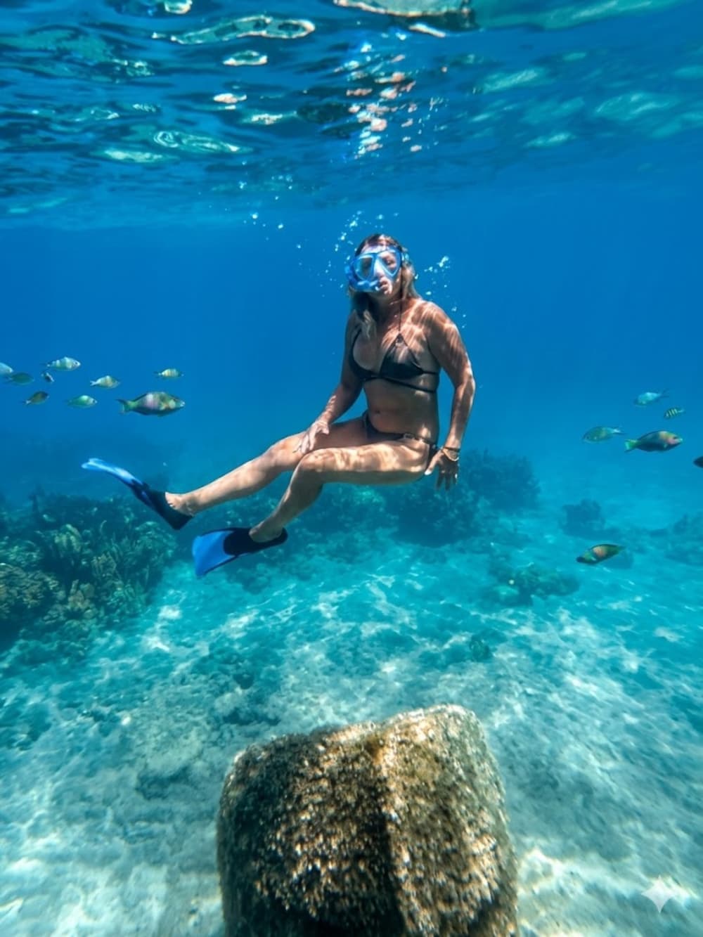 Half-day discovery tour of the Lérins Islands – 5 hours of escape