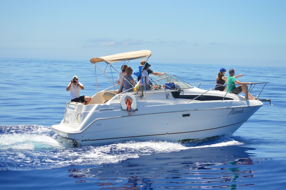 Odkryj Maderę od strony oceanu: 2,5-godzinna ucieczka