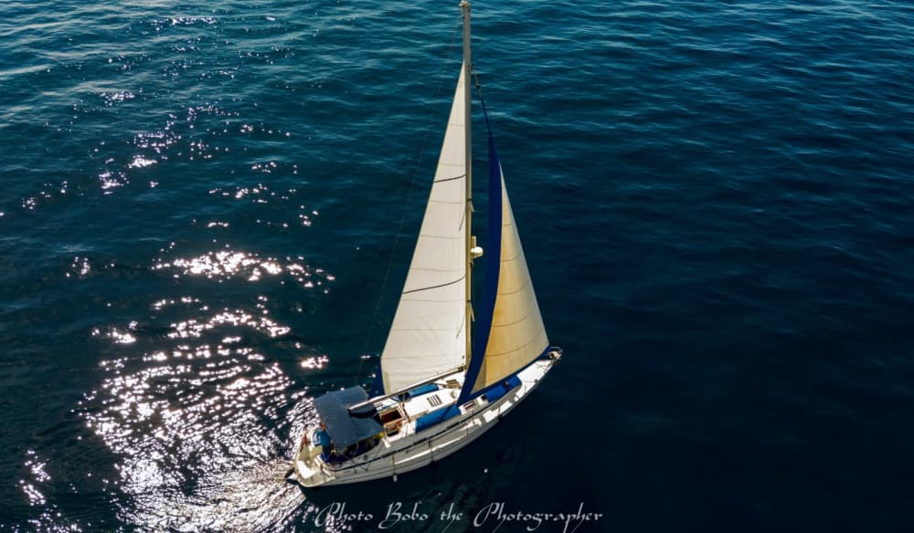 6 godzin czystej wolności żeglarskiej: wycieczka do Puerto Colon, która definiuje życie na wyspie