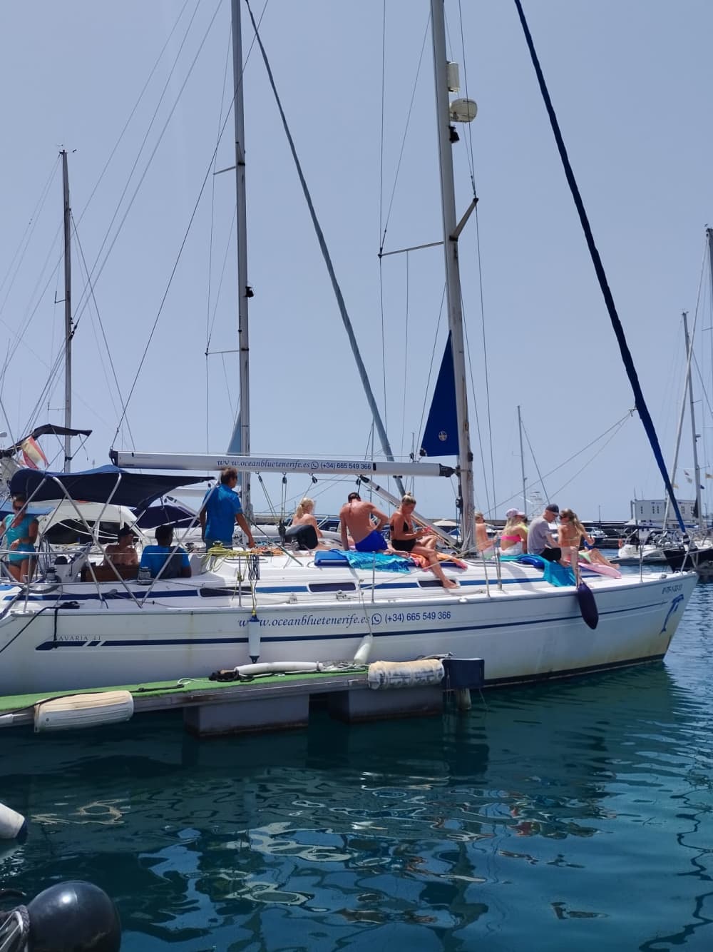6 Hours of Pure Sailing Freedom: The Puerto Colon Tour That Defines Island Life