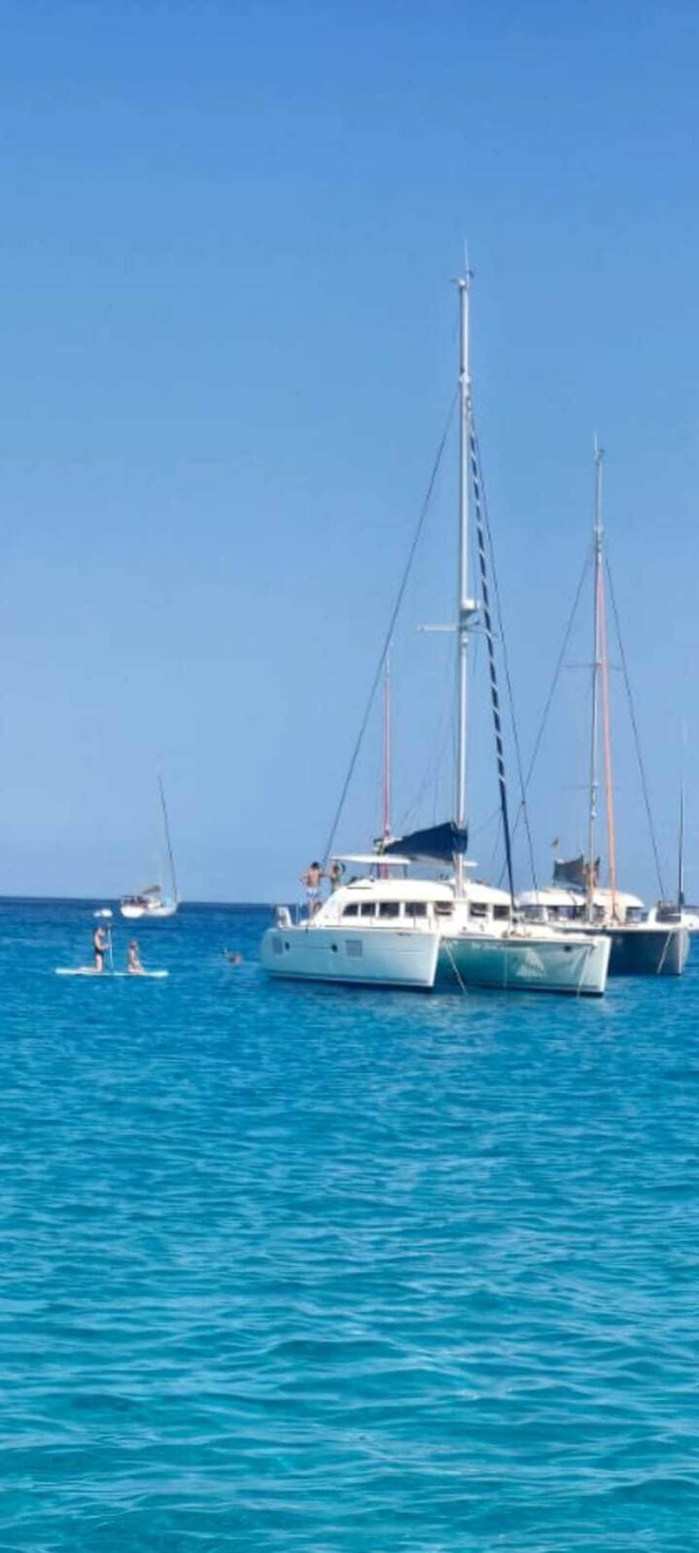 Unforgettable moments on a catamaran