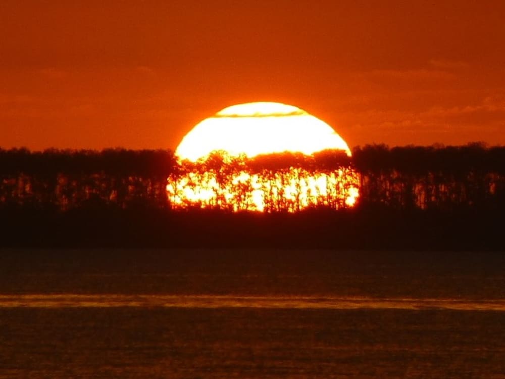 Escapada privada de medio día por el río: Al atardecer