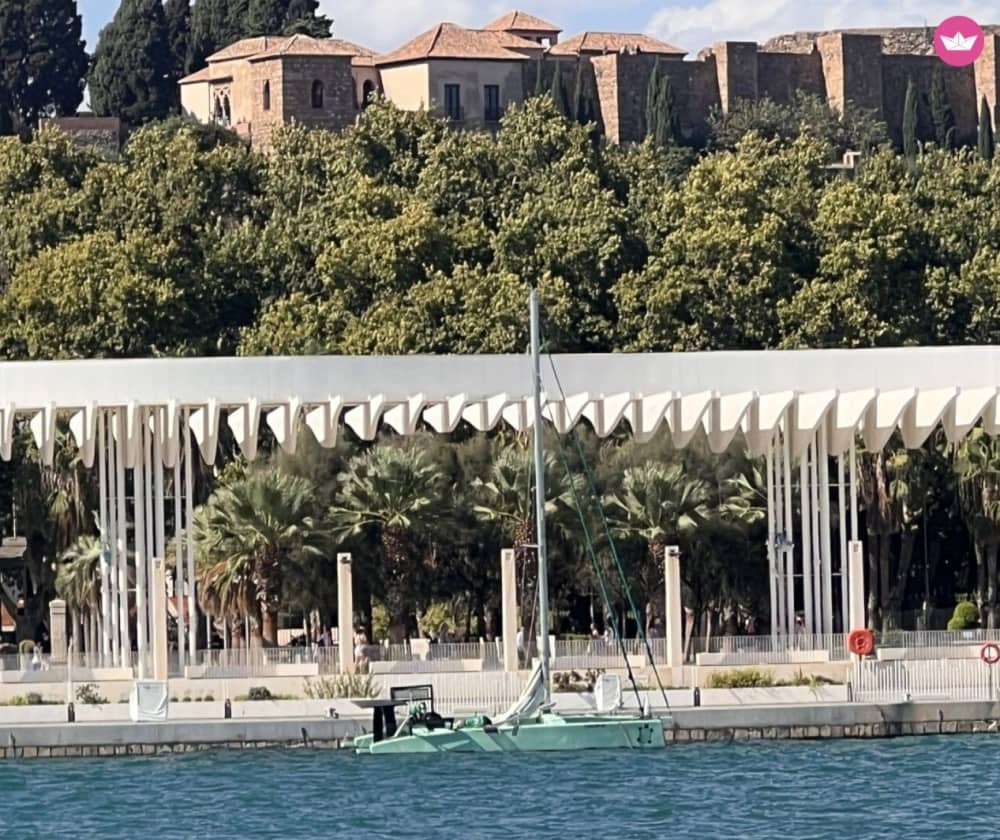 Öko-Paradies für Gruppen: Diese 3-stündige nachhaltige Katamaran-Tour ab Malaga ist pures mediterranes Glück!