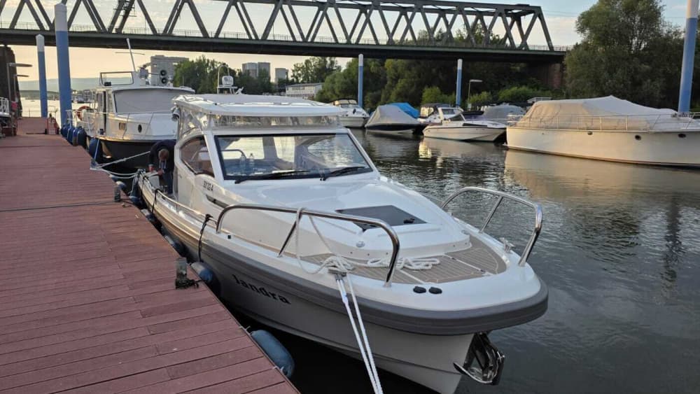 Mezza giornata di relax, nuoto e pagaiata: sole, divertimento, divertimento e libertà sul Reno