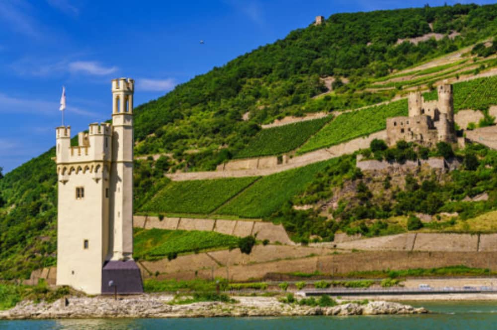 Tour di mezza giornata alla scoperta del Rheingau: castelli, vigneti e paesaggi mozzafiato