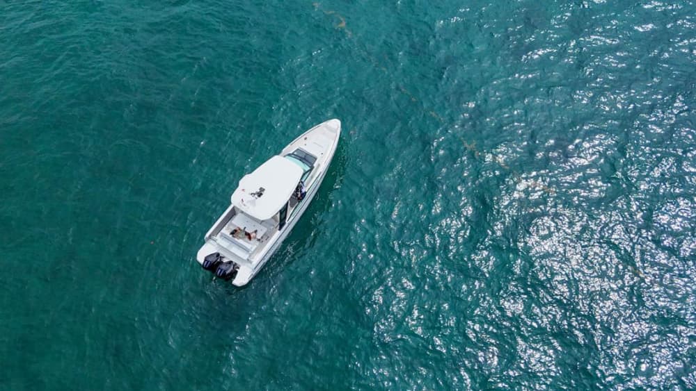 4 Hour Charter to Isla Catalina – Half Day Island Getaway