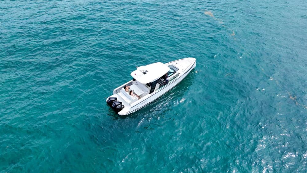 4 Hour Charter to Isla Catalina – Half Day Island Getaway