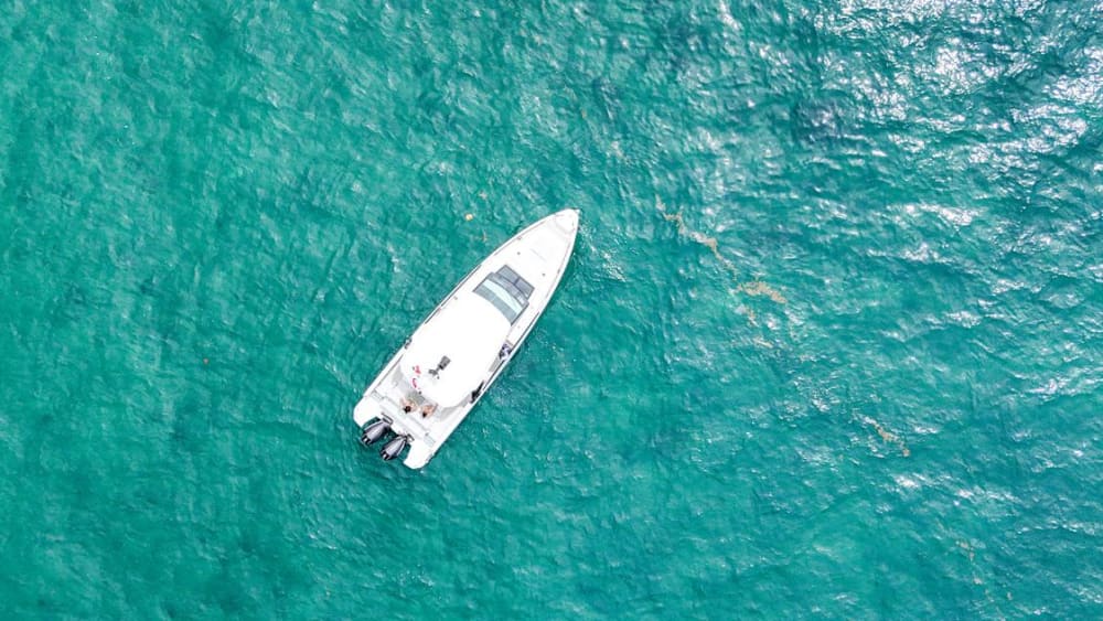 4 Hour Charter to Isla Catalina – Half Day Island Getaway