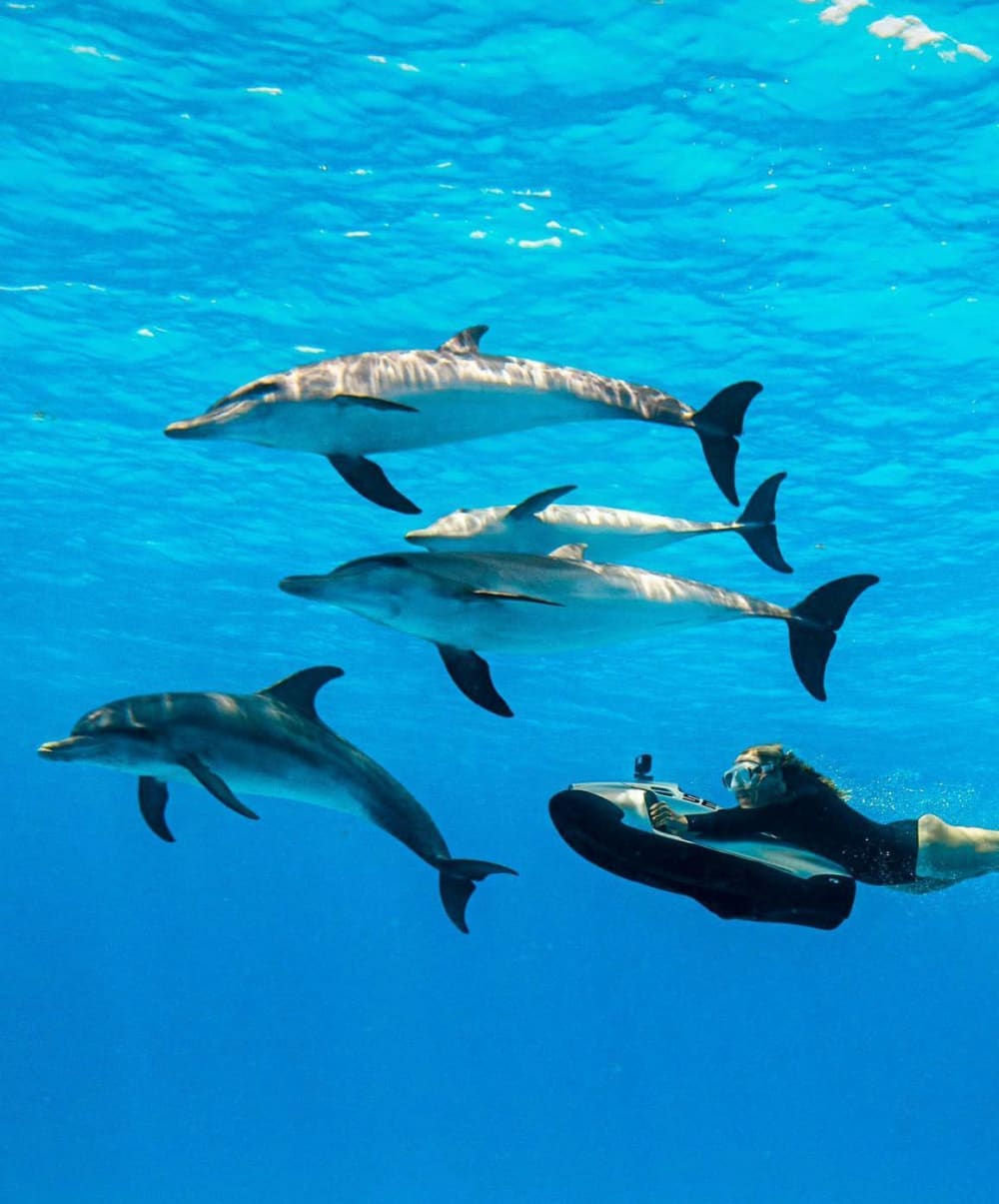 Luxuriöse Sonnenuntergangsfahrt: Ein traumhafter Aperitif an der Costa Smeralda