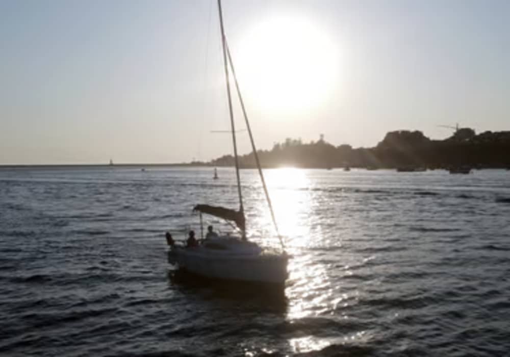 Crucero al atardecer en el vino de Oporto (2 horas)