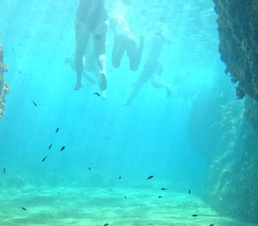 4-часовой круиз по Элафитским островам с посещением Голубой пещеры