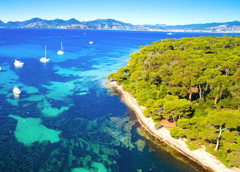 Excursión a las islas Lérins en barco privado