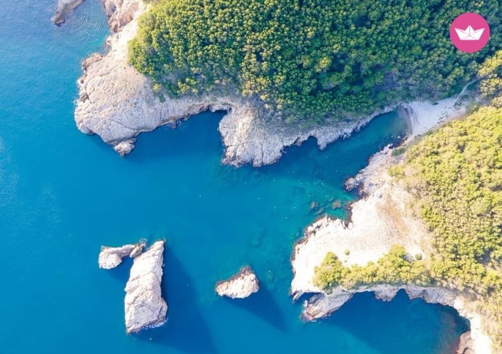Aventure en catamaran d'une journée complète