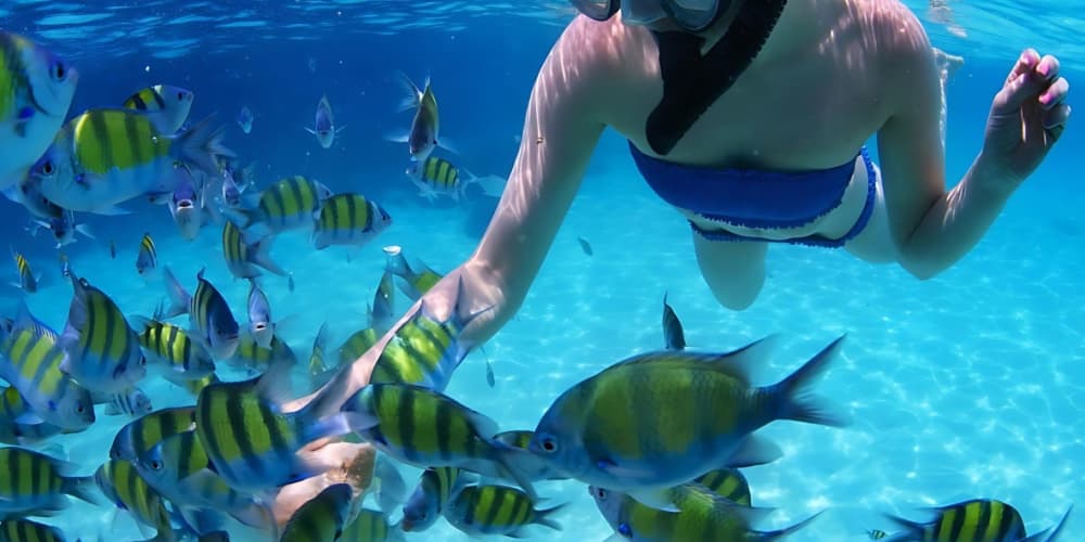 Private Paradise: Punta Cana Catamaran Party & Snorkel Escape!