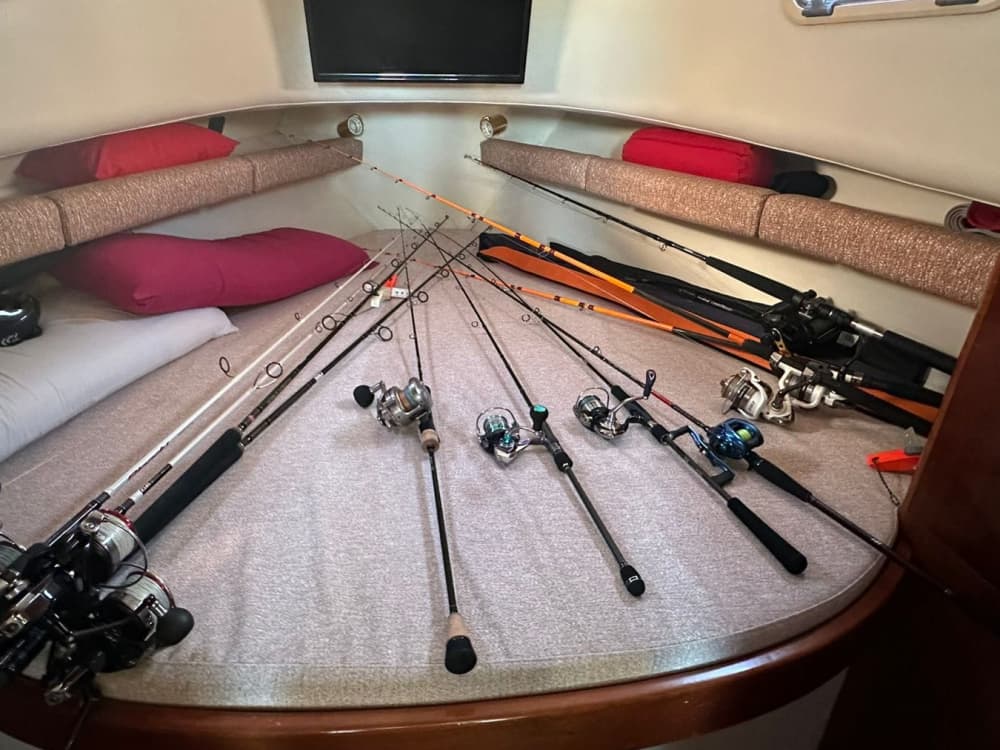 Tour in barca di 3 ore intorno alle isole costiere