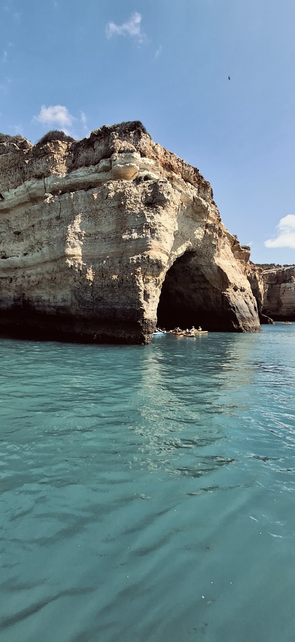 Benagil: Brand New Luxury Catamaran Full day Cruise