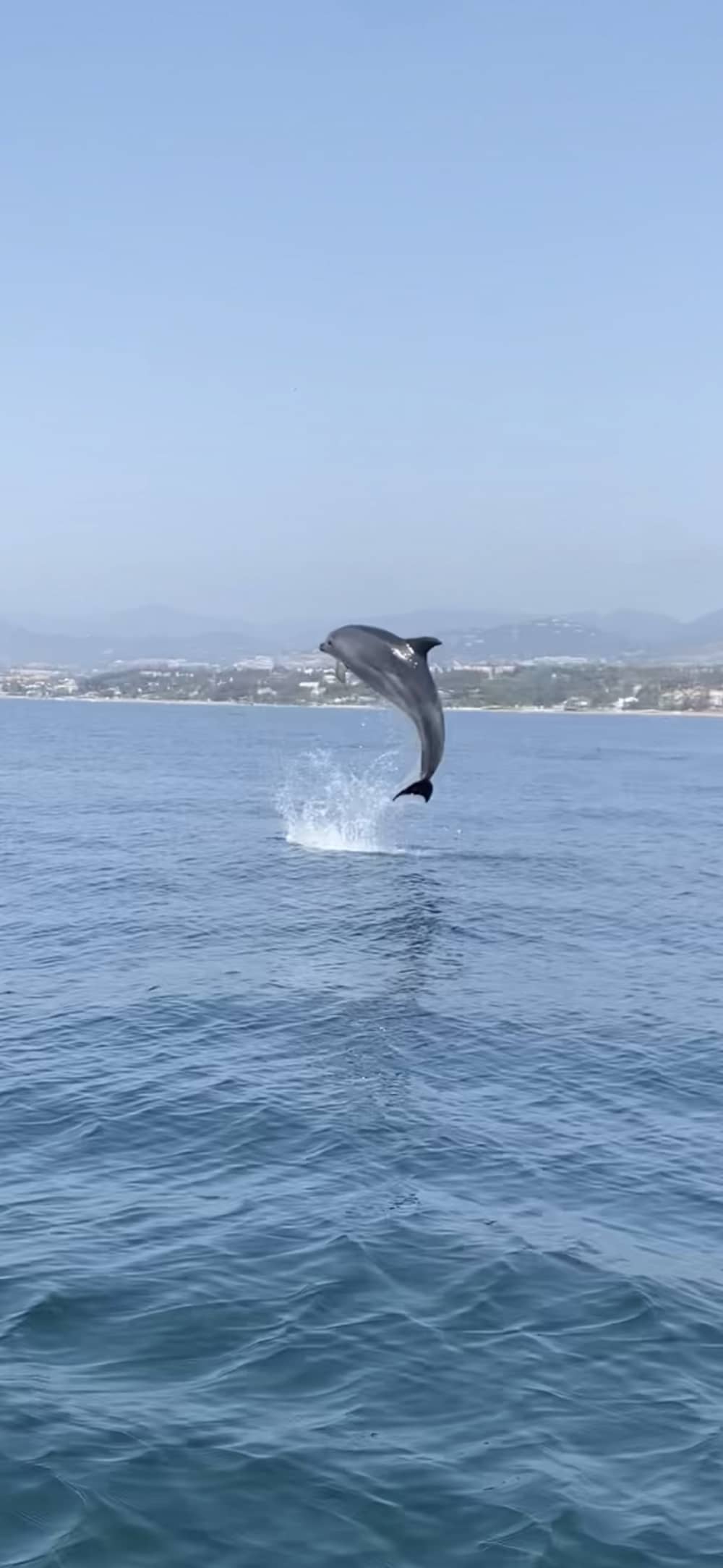 Privé viservaring in Marbella