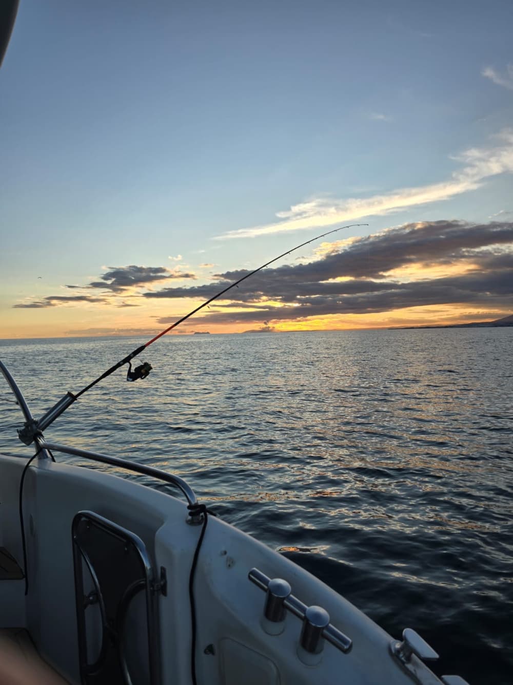 Privé viservaring in Marbella