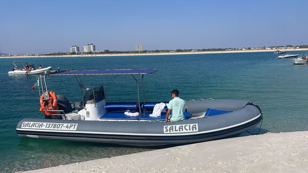 Observação de Golfinhos