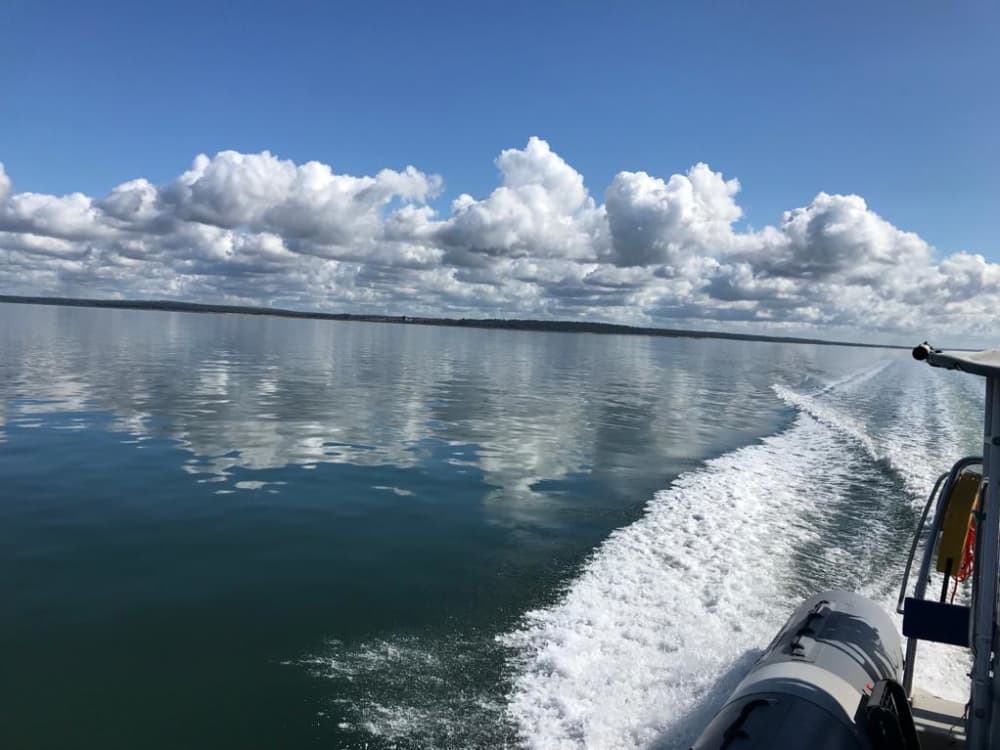 passeio de barco em Alcácer do Sal