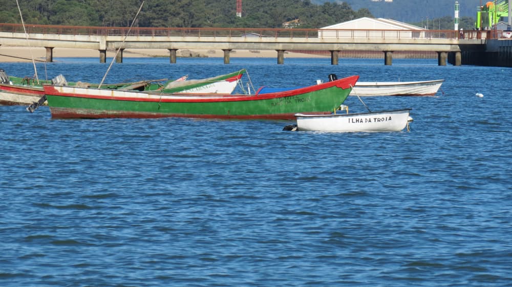 Guided Setúbal–Alcácer do Sal Boat Tour (Flexible Schedule)