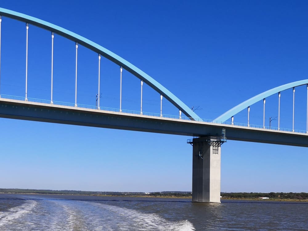 Guided Setúbal–Alcácer do Sal Boat Tour (Flexible Schedule)