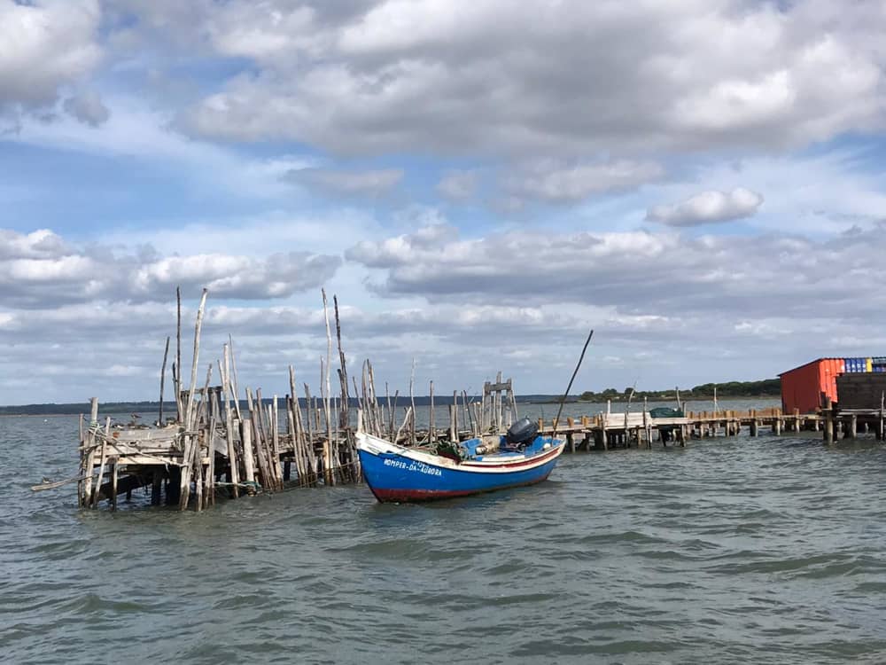 Guided Setúbal–Alcácer do Sal Boat Tour (Flexible Schedule)