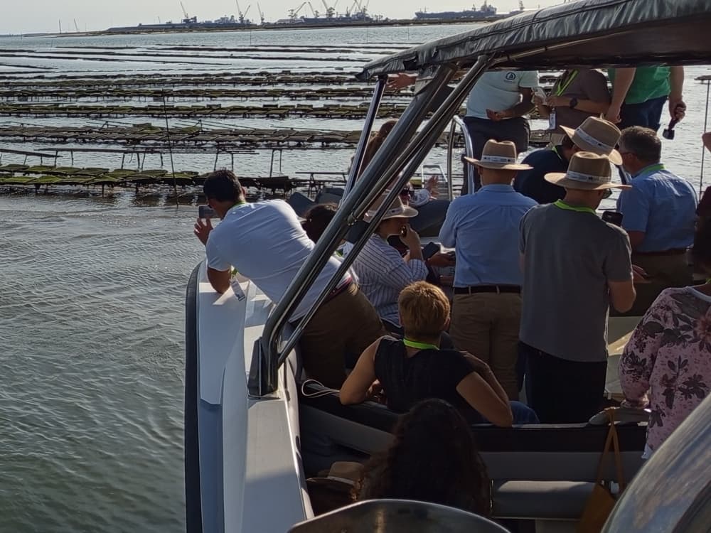 Visita guiada de barco a uma fazenda de ostras com degustação em Setúbal (horário flexível)
