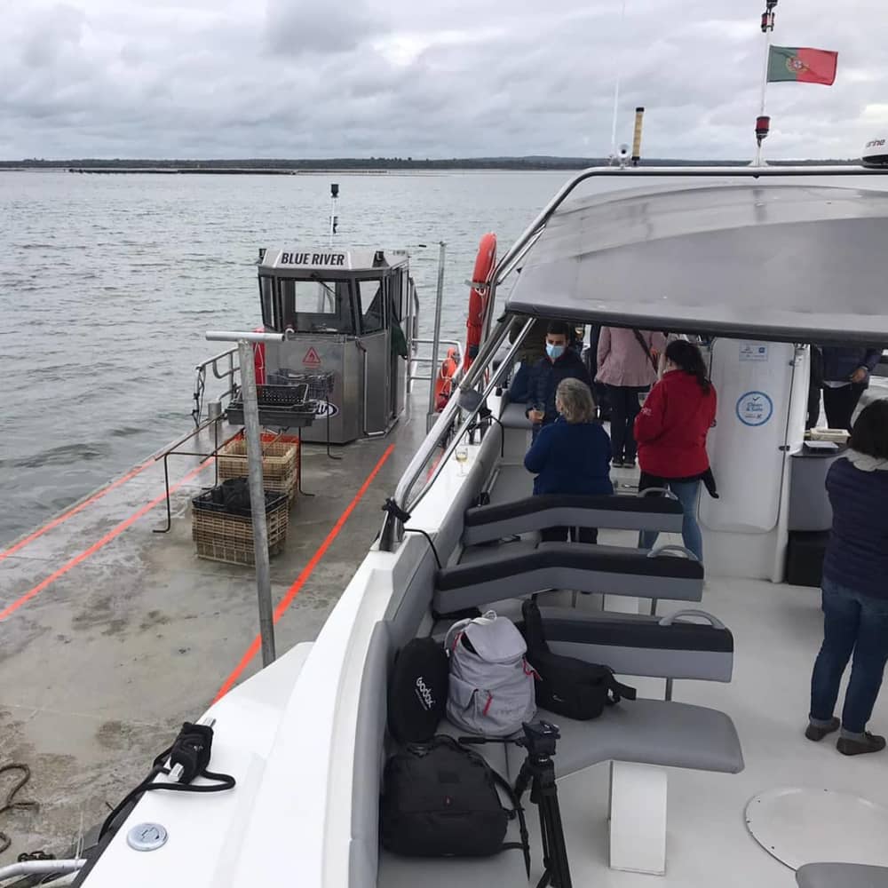 Visita guiada de barco a uma fazenda de ostras com degustação em Setúbal (horário flexível)