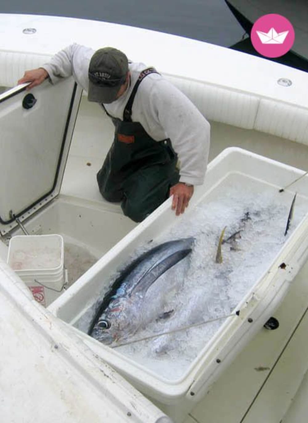 Morning Offshore Tuna Fishing Experience