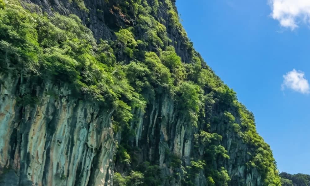 An Amazing Phi Phi Islands Full-Day Adventure