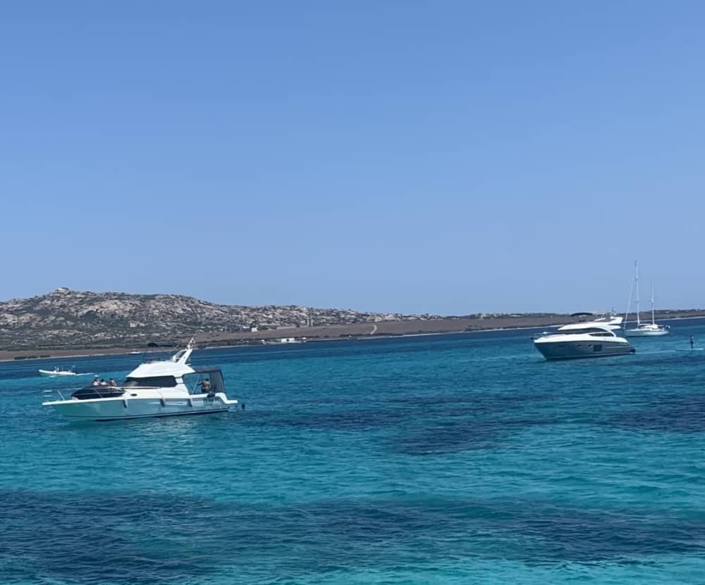 Una giornata nei dintorni di Stintino: goditi 7 ore di esplorazione a bordo di un motoscafo.