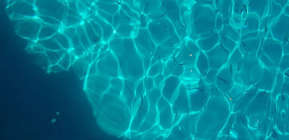 Una giornata nei dintorni di Stintino: goditi 7 ore di esplorazione a bordo di un motoscafo.