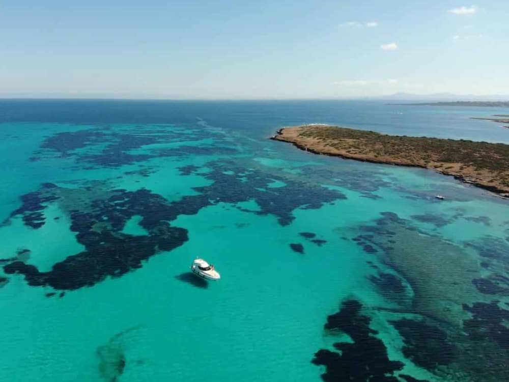 Una giornata nei dintorni di Stintino: goditi 7 ore di esplorazione a bordo di un motoscafo.