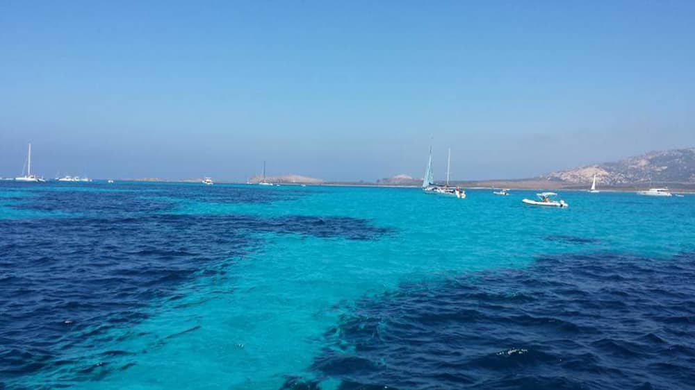Una giornata nei dintorni di Stintino: goditi 7 ore di esplorazione a bordo di un motoscafo.