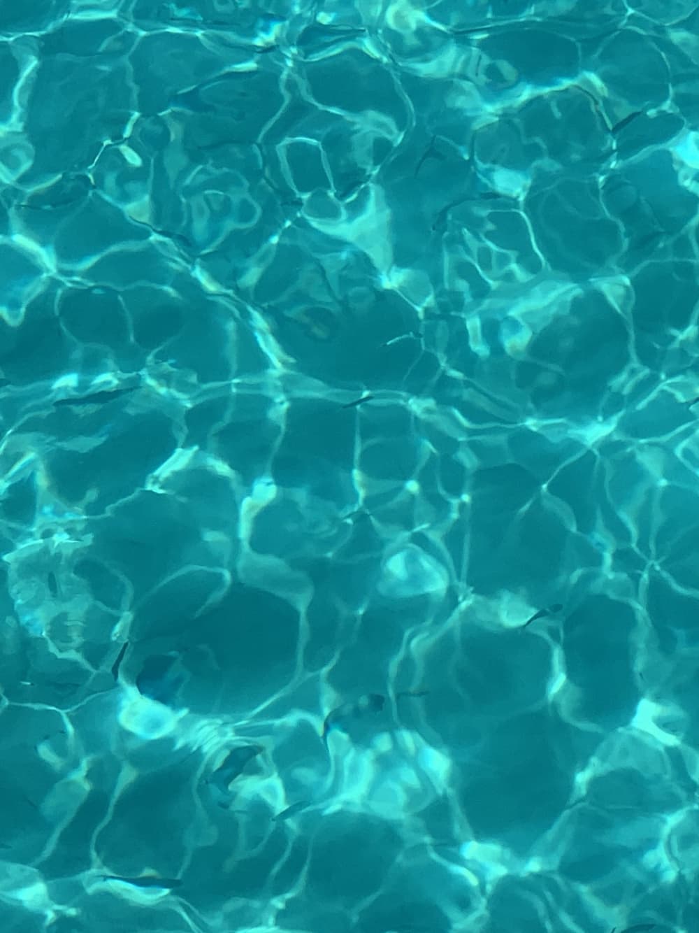 Una giornata nei dintorni di Stintino: goditi 7 ore di esplorazione a bordo di un motoscafo.