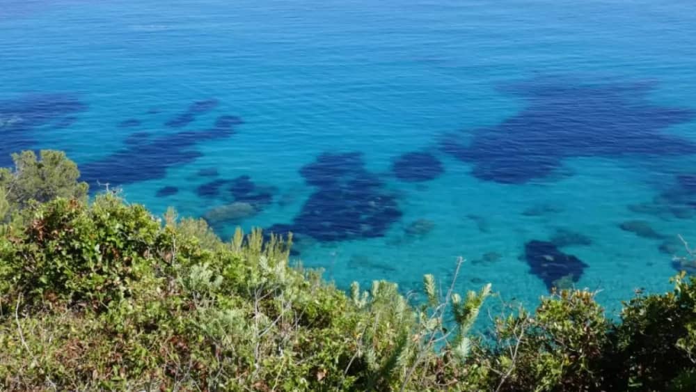 2-часовая прогулка на лодке до мыса Лардье-Ла-Круа-Вальмер.