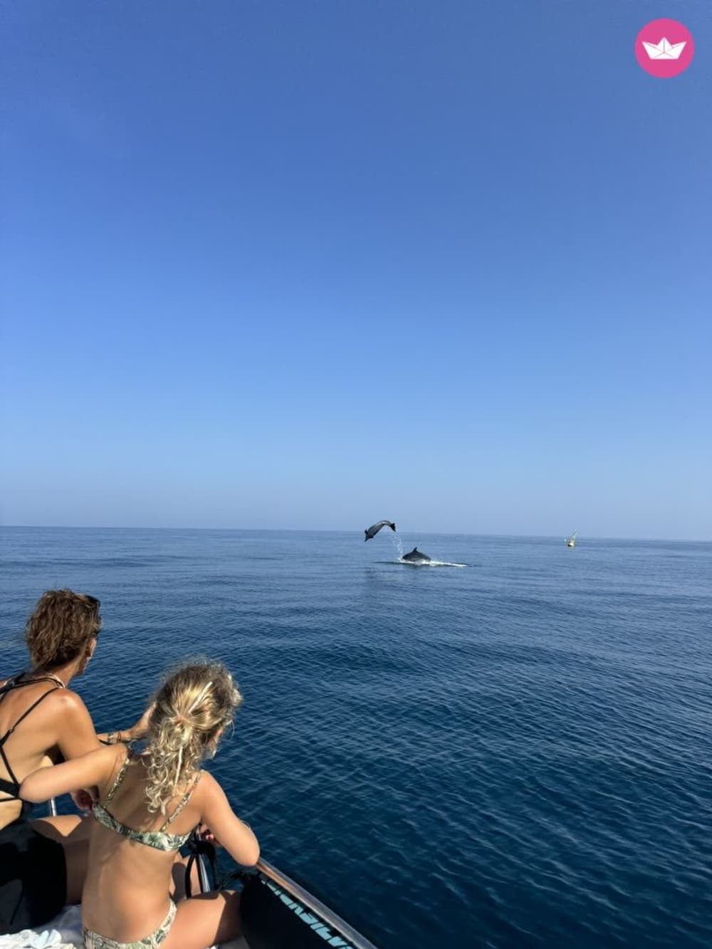 Ολοήμερη κρουαζιέρα με πολυτελή καταμαράν στο Φάρο – Ρία Φορμόζα και ακτή Αλγκάρβε