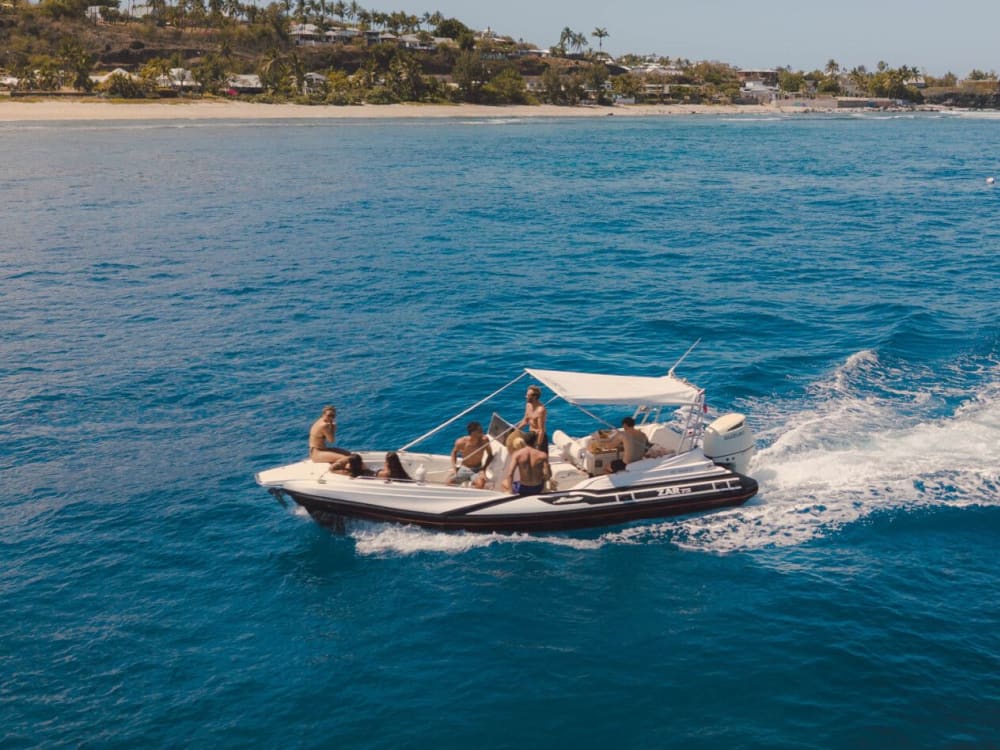 Discovering the marine environment