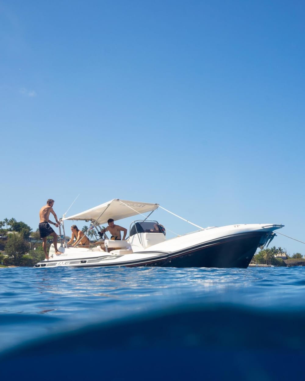 Discovering the marine environment